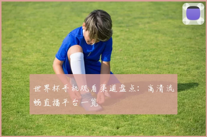 世界杯手机观看渠道盘点：高清流畅直播平台一览