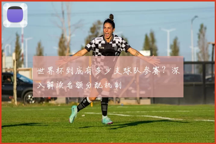世界杯到底有多少支球队参赛？深入解读名额分配机制