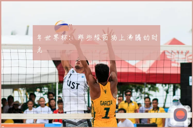 年世界杯：那些绿茵场上沸腾的时光