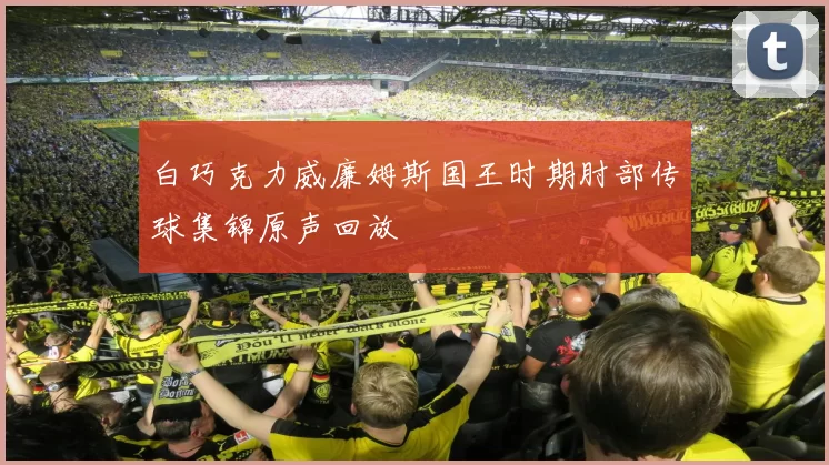 白巧克力威廉姆斯国王时期肘部传球集锦原声回放