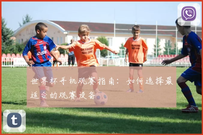 世界杯手机观赛指南:如何选择最适合的观赛设备