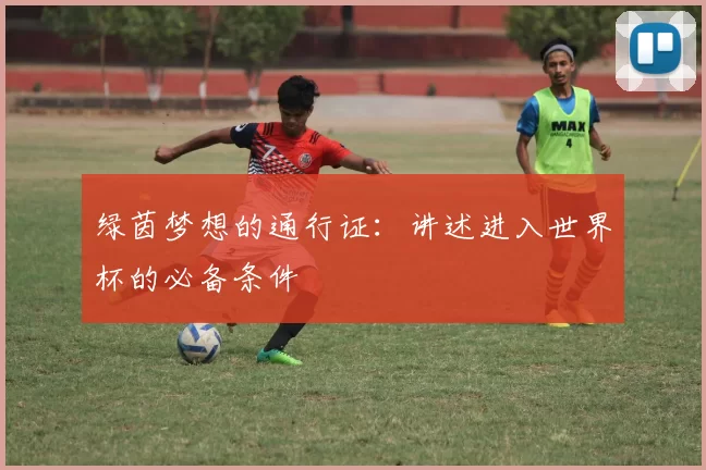 绿茵梦想的通行证：讲述进入世界杯的必备条件