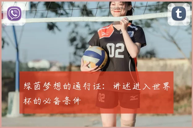 绿茵梦想的通行证:讲述进入世界杯的必备条件