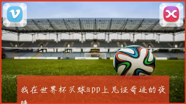 我在世界杯买球app上见证奇迹的夜晚