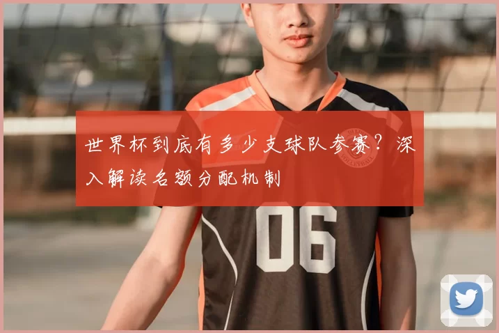 世界杯到底有多少支球队参赛？深入解读名额分配机制